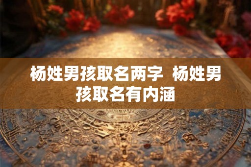 杨姓男孩取名两字  杨姓男孩取名有内涵