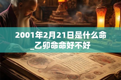 2001年2月21日是什么命_乙卯命命好不好