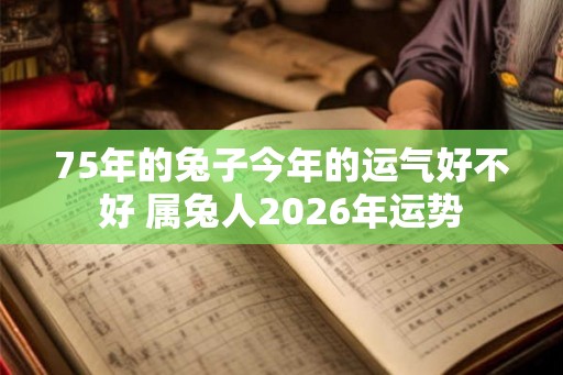75年的兔子今年的运气好不好 属兔人2026年运势