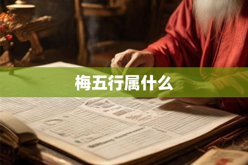 梅五行属什么 梅五行属什么