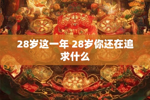 28岁这一年 28岁你还在追求什么