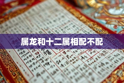 属龙和十二属相配不配