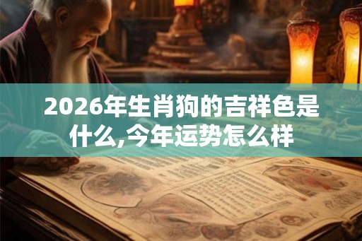 2026年生肖狗的吉祥色是什么,今年运势怎么样