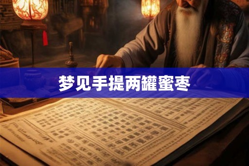 梦见手提两罐蜜枣