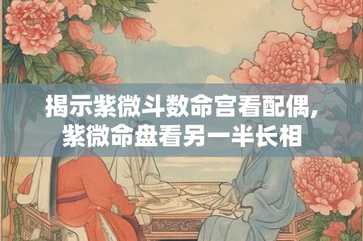 揭示紫微斗数命宫看配偶,紫微命盘看另一半长相 揭示紫微斗数命宫看配偶,紫微命盘看另一半长相