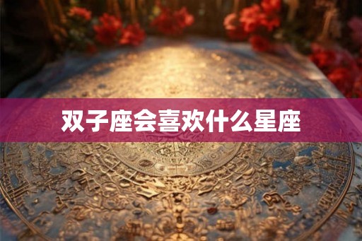 双子座会喜欢什么星座