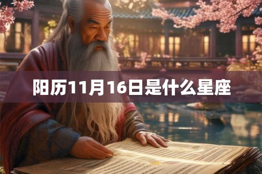 阳历11月16日是什么星座