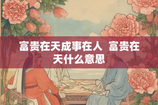 富贵在天成事在人  富贵在天什么意思