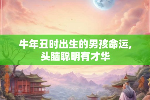 牛年丑时出生的男孩命运,头脑聪明有才华