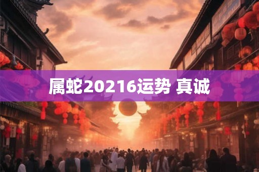 属蛇20216运势 真诚
