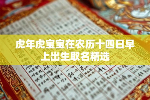 虎年虎宝宝在农历十四日早上出生取名精选