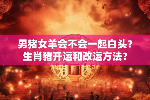 男猪女羊会不会一起白头？生肖猪开运和改运方法？