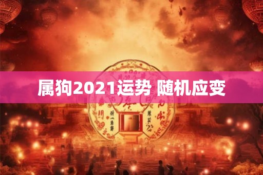 属狗2021运势 随机应变