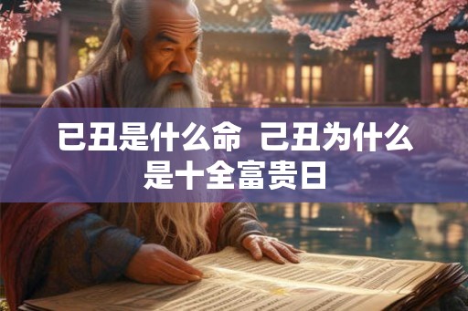 已丑是什么命 己丑为什么是十全富贵日 已丑是什么命 己丑为什么是十全富贵日