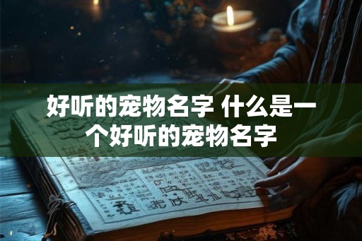 好听的宠物名字 什么是一个好听的宠物名字