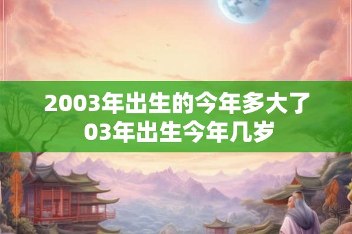 2003年出生的今年多大了 03年出生今年几岁
