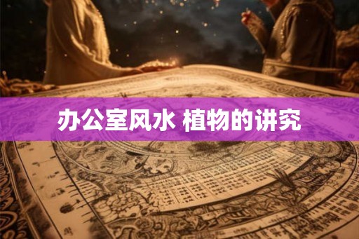 办公室风水 植物的讲究