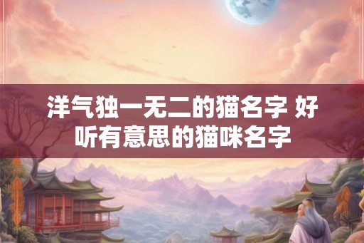 洋气独一无二的猫名字 好听有意思的猫咪名字