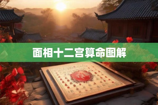 面相十二宫算命图解