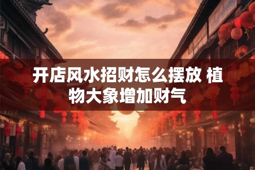 开店风水招财怎么摆放 植物大象增加财气