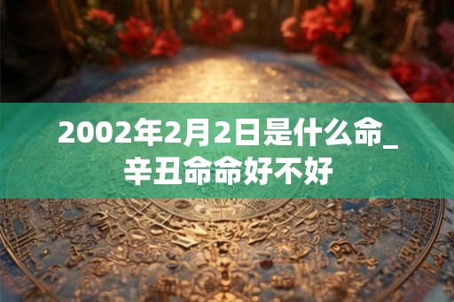 2002年2月2日是什么命_辛丑命命好不好