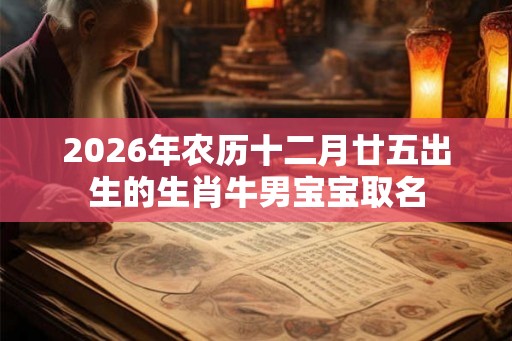 2026年农历十二月廿五出生的生肖牛男宝宝取名