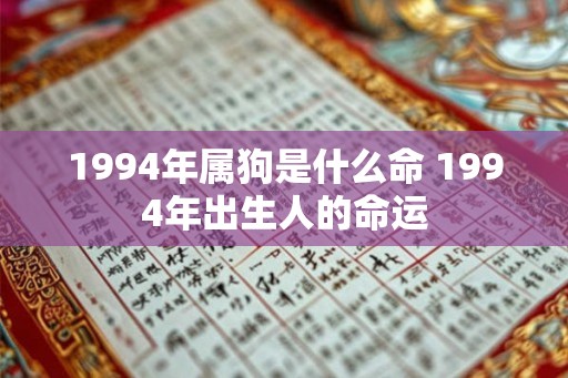 1994年属狗是什么命 1994年出生人的命运 1994年属狗是什么命 1994年出生人的命运