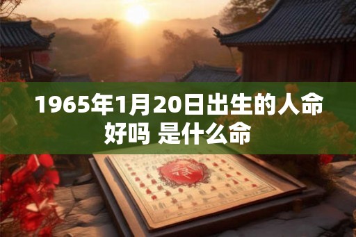 1965年1月20日出生的人命好吗 是什么命