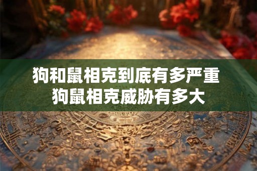 狗和鼠相克到底有多严重 狗鼠相克威胁有多大
