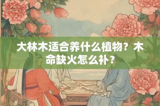 大林木适合养什么植物？木命缺火怎么补？