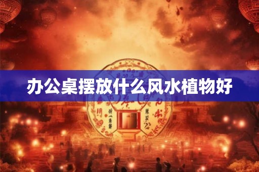 办公桌摆放什么风水植物好