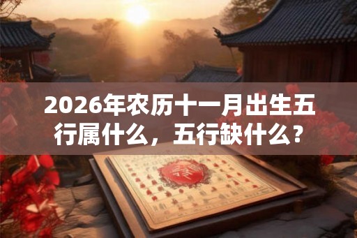 2026年农历十一月出生五行属什么，五行缺什么？
