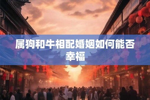 属狗和牛相配婚姻如何能否幸福