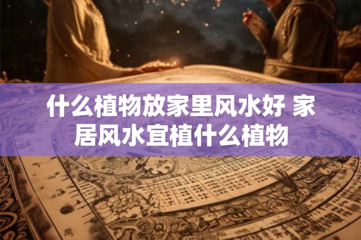 什么植物放家里风水好 家居风水宜植什么植物