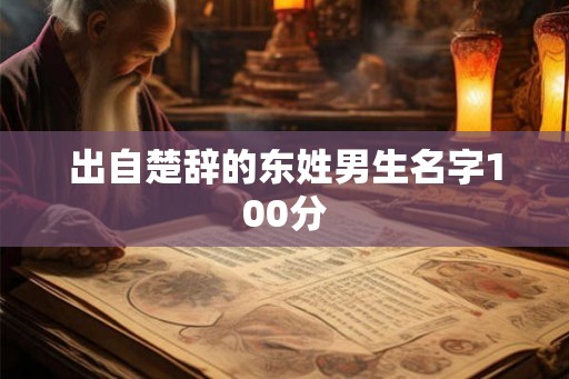 出自楚辞的东姓男生名字100分