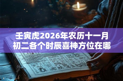 壬寅虎2026年农历十一月初二各个时辰喜神方位在哪? 壬寅虎2026年农历十一月初二各个时辰喜神方位在哪?