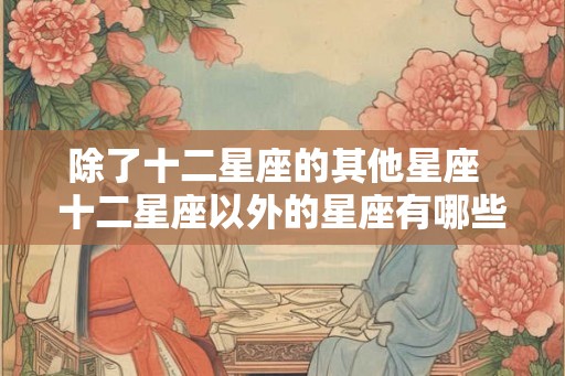 除了十二星座的其他星座  十二星座以外的星座有哪些