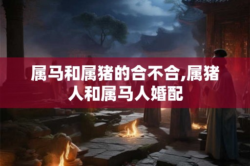 属马和属猪的合不合,属猪人和属马人婚配