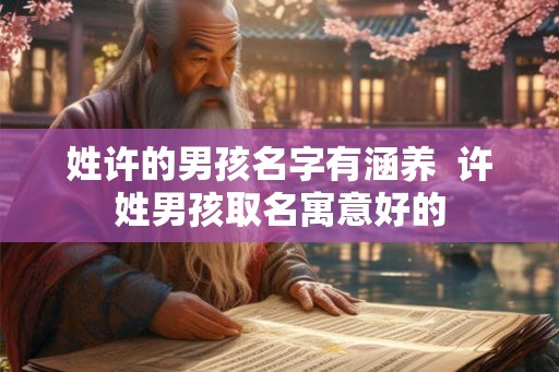 姓许的男孩名字有涵养 许姓男孩取名寓意好的 姓许的男孩名字有涵养 许姓男孩取名寓意好的
