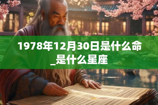 1978年12月30日是什么命_是什么星座 1978年12月30日是什么命_是什么星座