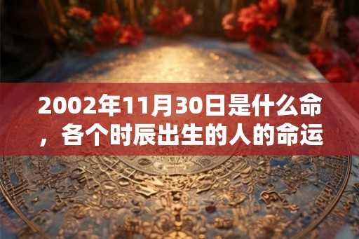 2002年11月30日是什么命,各个时辰出生的人的命运 2002年11月30日是什么命,各个时辰出生的人的命运