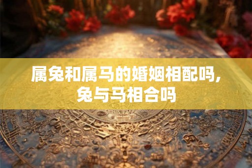 属兔和属马的婚姻相配吗,兔与马相合吗