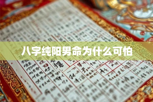 八字纯阳男命为什么可怕