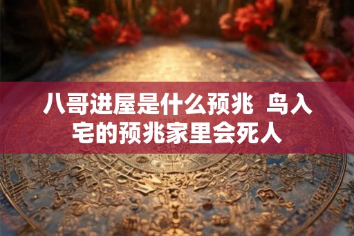 八哥进屋是什么预兆  鸟入宅的预兆家里会死人