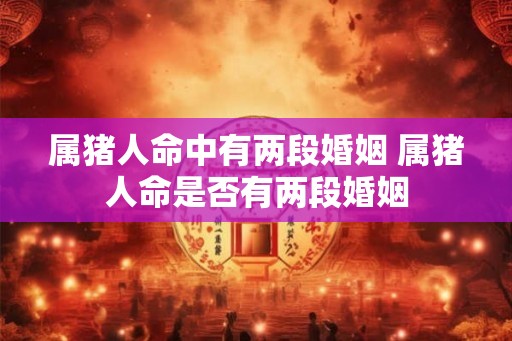 属猪人命中有两段婚姻 属猪人命是否有两段婚姻