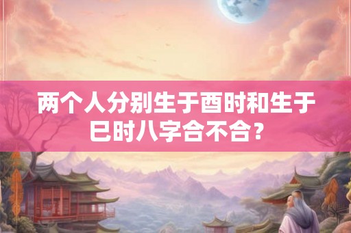 两个人分别生于酉时和生于巳时八字合不合？