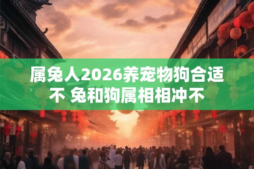 属兔人2026养宠物狗合适不 兔和狗属相相冲不