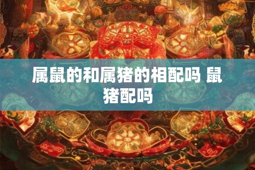 属鼠的和属猪的相配吗 鼠猪配吗