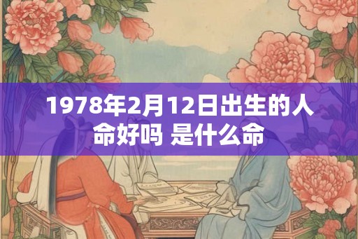 1978年2月12日出生的人命好吗 是什么命
