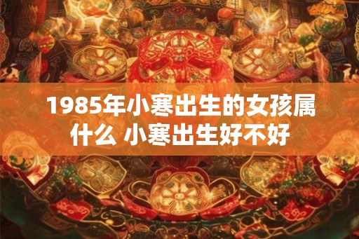 1985年小寒出生的女孩属什么 小寒出生好不好